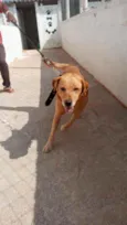 Théo