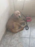Théo