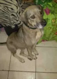 Safira