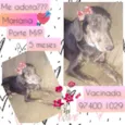 Mariana 