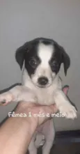 Sem nome