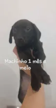 Sem nome