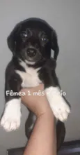 Sem nome
