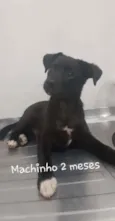 Sem nome