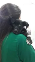 Sol 