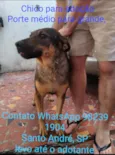Chico