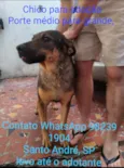 Chico