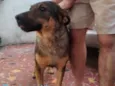 Chico