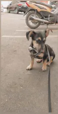 Slinky