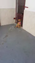 Mili