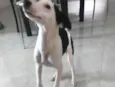 Não sabemos