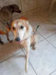 Lili 