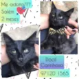 Salem