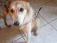 Lili 