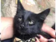 Salem