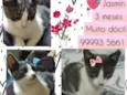 Jasmin