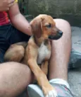 Beto