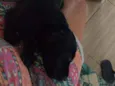 Nick