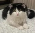FILÓ