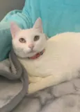 KIKI