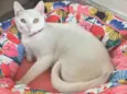 KIKI