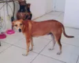 BONITA