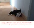 Zilu