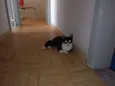 Zilu
