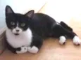 Zilu