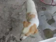 Linda