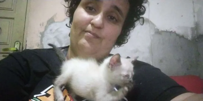Gato ra a SRD-ViraLata idade 2 a 6 meses nome sem nomes