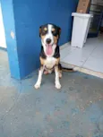 Saulo