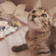 Valentina