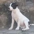 Linda