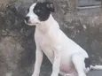 Linda