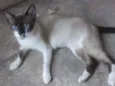 Bella