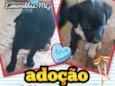Barney E Fred