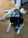 Mickey