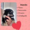Lola 