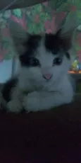 Não possue nome aind