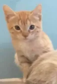 Léo