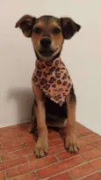 Indefinido
