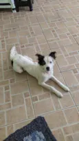 Lia