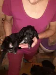 Molly