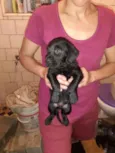 Tron