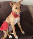 KIARA