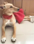 KIARA
