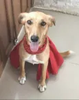 KIARA