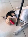 CRUNCH