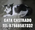 Varios